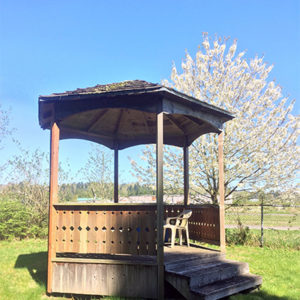 Dog Park in Blaine gazebo