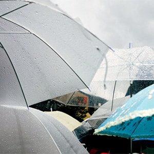 rainy day umbrella