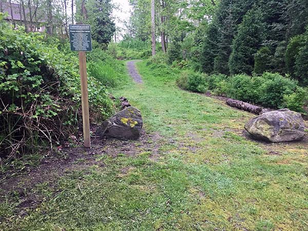 Trail to the park in blaine