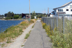 semiahmoo spit walking trail