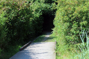 Dakota Creek Kayak Launch path to road