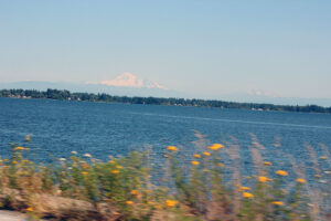 Drayton Harbor at Blaine WA