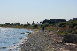 People walking by the beach next to SEmiahmoo and Drayton Harbor in Blaine