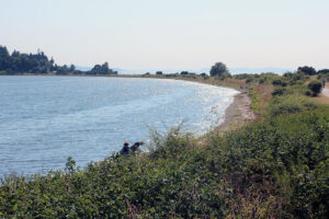 Semiahmoo Spit, Blaine beach