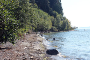 Beach view next to Semiahmoo and Drayton Harbor