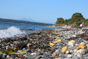 waves at the Semiahmoo Spit