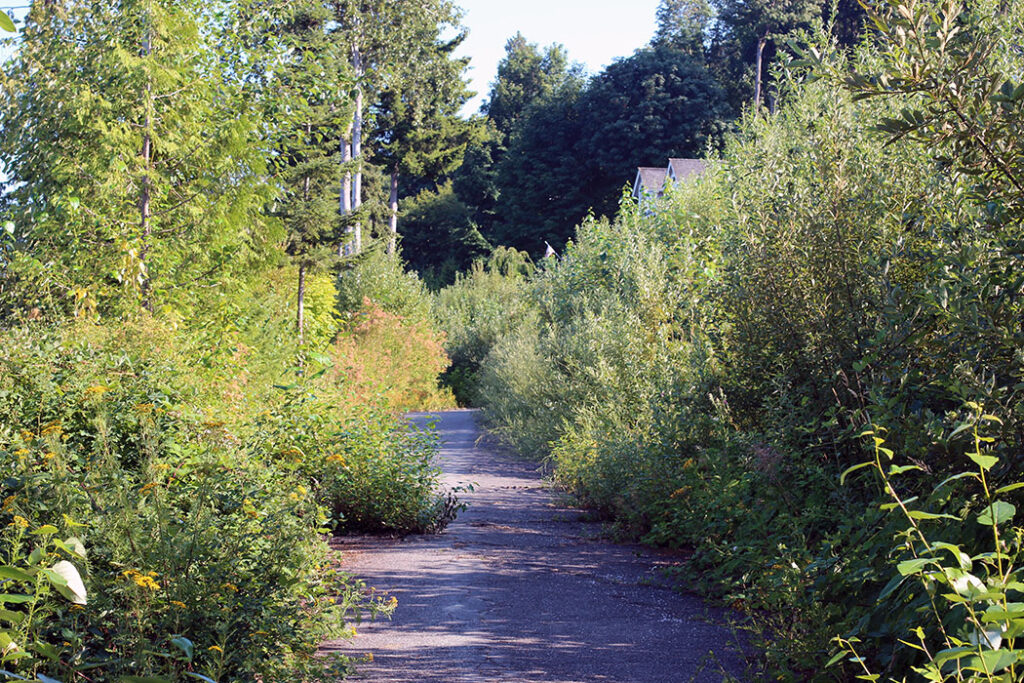 Drayton Harbor trail next to Semiahmoo State Park