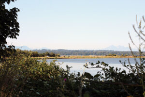 Drayton Harbor trail view of Semiahmoo Spit