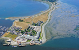 walking trails in Semiahmoo Spit