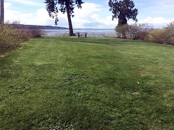 park overseeing drayton harbor in Blaine, WA