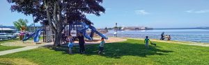 Blaine marine Playground by the Sea