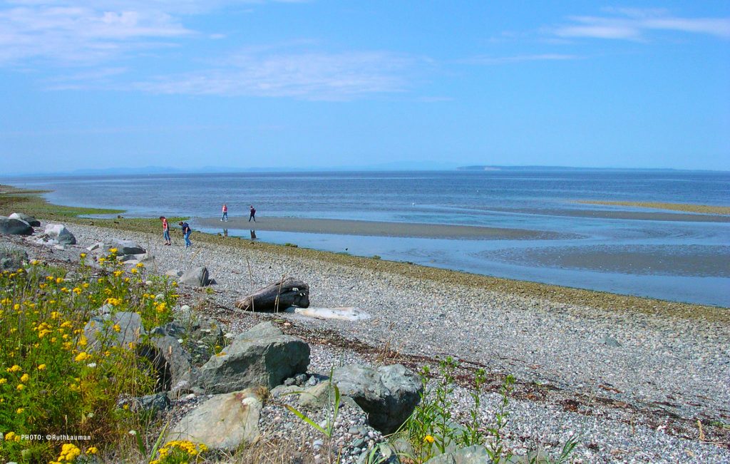 Semiahmoo Park Seach Blaine WA