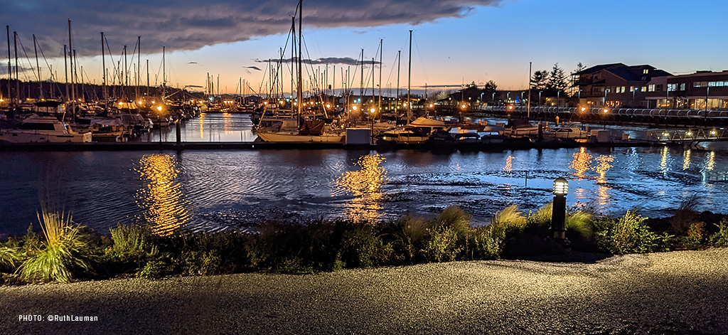 Blaine Marina Gate One Walkway at night