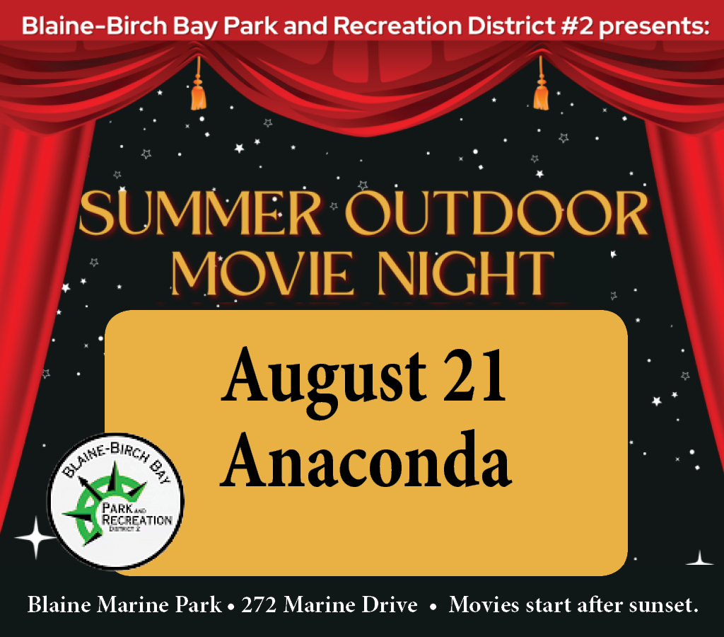 Summer Outdoor Movie Night in Blaine Marine Park