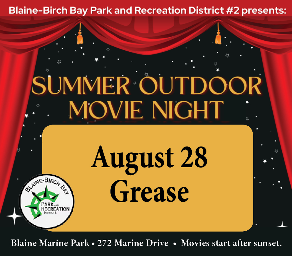 Summer Outdoor Movie Night in Blaine Marine Park