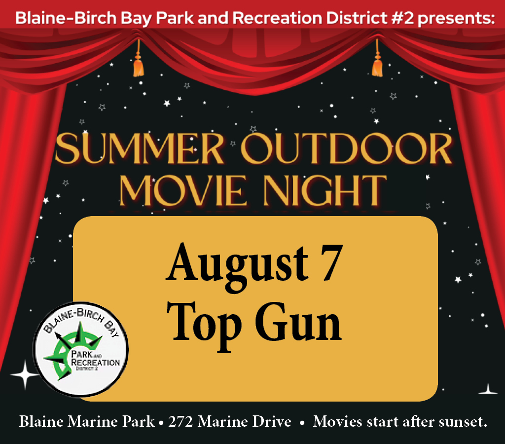 Summer Outdoor Movie Night in Blaine Marine Park