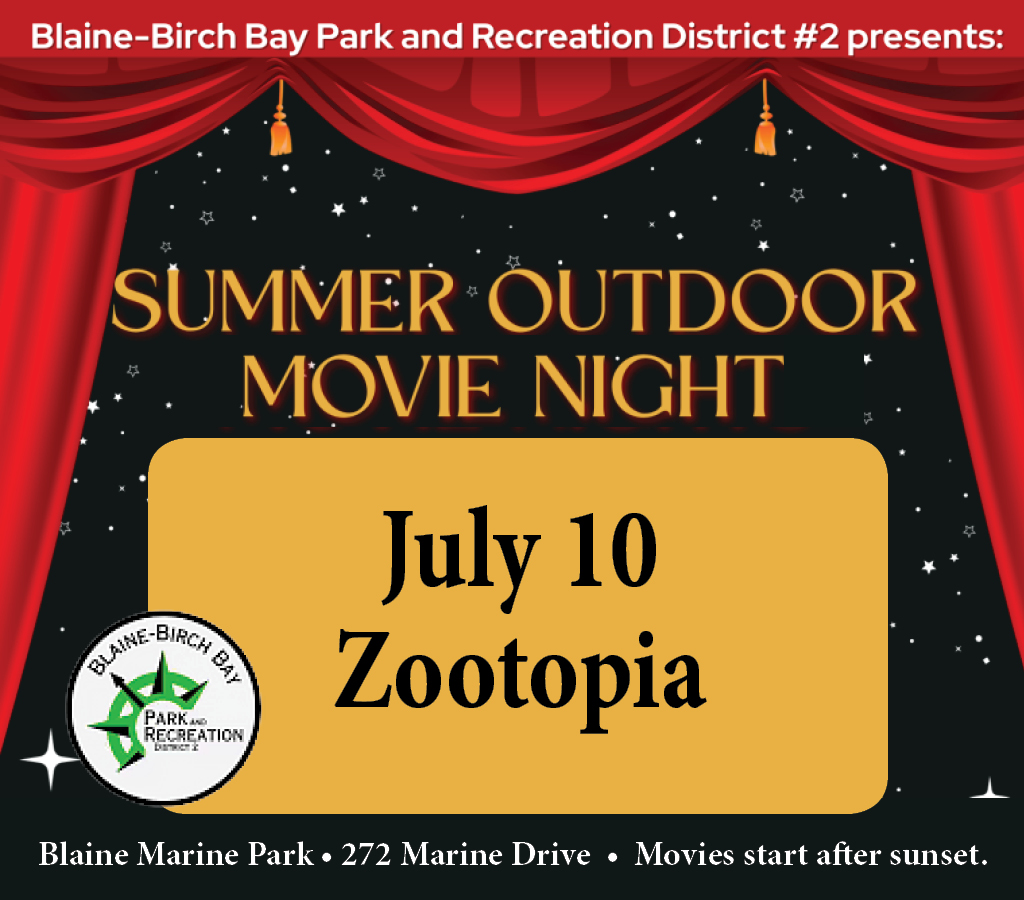 Summer Outdoor Movie Night in Blaine Marine Park