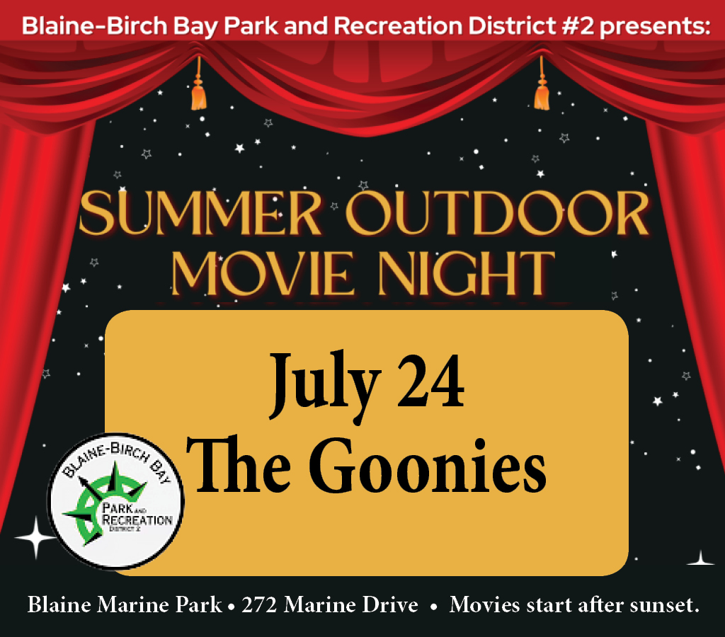 Summer Outdoor Movie Night in Blaine Marine Park