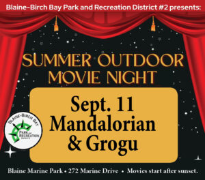 Summer Outdoor Movie Night in Blaine Marine Park