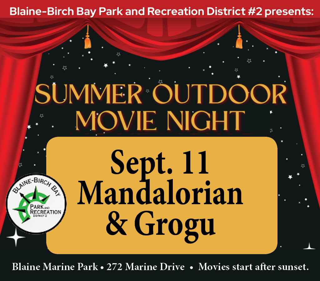 Summer Outdoor Movie Night in Blaine Marine Park