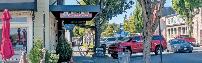 Downtown Blaine Revitalization Project 2025