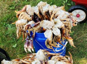 Warrior Service.org Salmon & Crab Fishing Derby in Blaine By The Sea, September 5-6, 2025