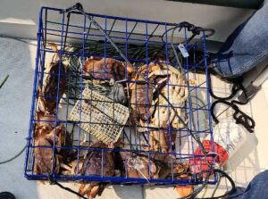 Warrior Service.org Salmon & Crab Fishing Derby in Blaine By The Sea, September 5-6, 2025