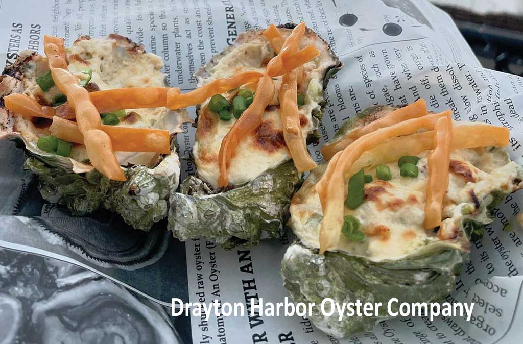 Drayton Harbor Oyster Co Restaurant on H Street Plaza, downtown Blaine by the Sea