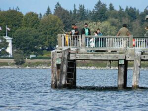 Plover Passenger Ferry Last Sailing September 6, 2026 in Blaine, WA
